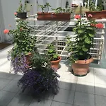 Muskatli Apartmanhaz ヘーヴィーズ