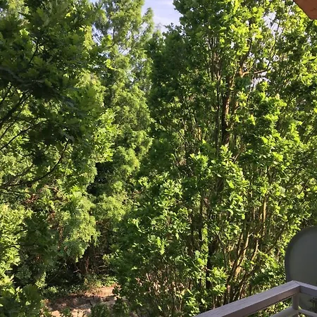 Apartamento Muskátli *