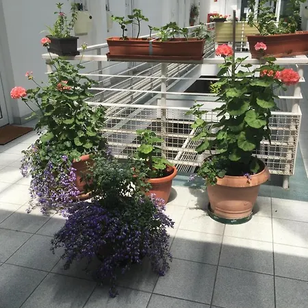 Muskatli Apartmanhaz Hévíz